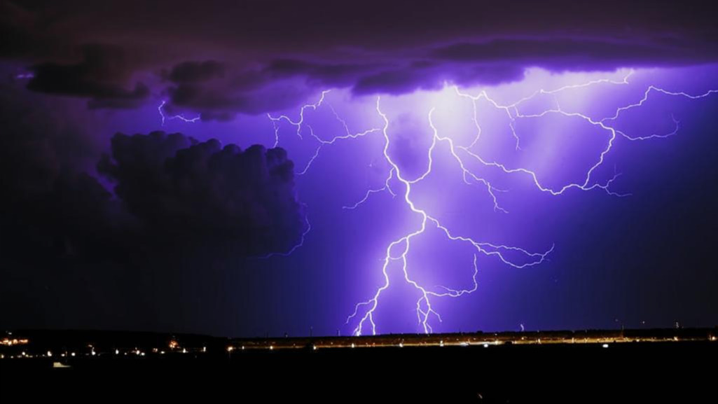 Деревья-магниты молний: как спасти дачу от природной катастрофы и не лишиться имущества